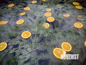 Дом 60м², 1-этажный, посуточно,