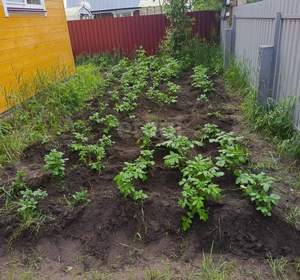 Дом 76м², 2-этажный, участок 5 сот.