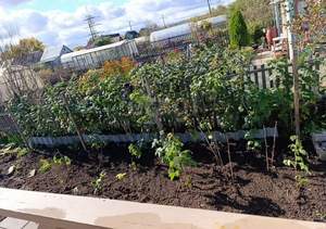 Дом 24м², 2-этажный, участок 5 сот.