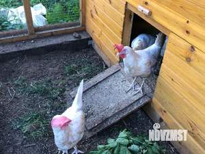 Дом 77м², 2-этажный, участок 5 сот.