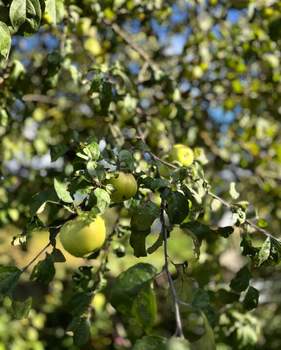 Дом 10м², 2-этажный, участок 4 сот.