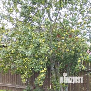 Дом 25м², 2-этажный, участок 4 сот.