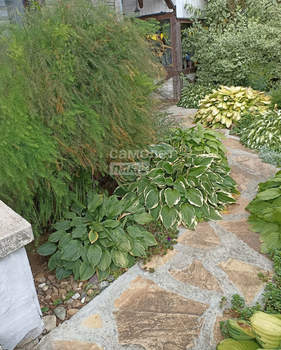 Дом 290м², 2-этажный, участок 11 сот.