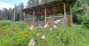 Дом 30м², 1-этажный, участок 12 сот.