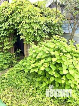 Дом 20м², 1-этажный, участок 4 сот.