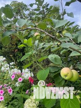 Дом 25м², 2-этажный, участок 6 сот.