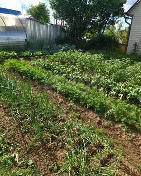 Дом 40м², 2-этажный, участок 4 сот.