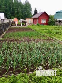 Дом 10м², 1-этажный, участок 4 сот.