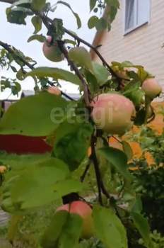 Дом 76м², 2-этажный, участок 5 сот.