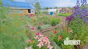 Дом 25м², 1-этажный, участок 6 сот.