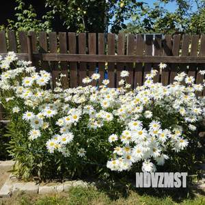 Дом 25м², 2-этажный, участок 4 сот.