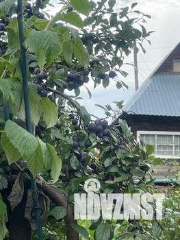 Дом 25м², 2-этажный, участок 6 сот.