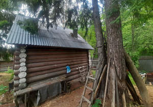 Дом 40м², 1-этажный, участок 12 сот.