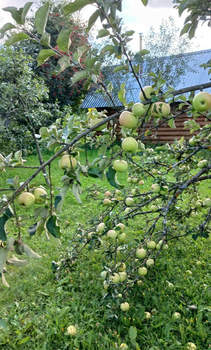 Дом 20м², 2-этажный, участок 13 сот.