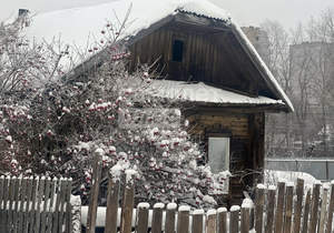 Дом 38м², 1-этажный, участок 6 сот.