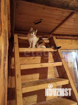 Дом 30м², 2-этажный, участок 6 сот.