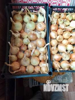 Дом 40м², 2-этажный, участок 4 сот.