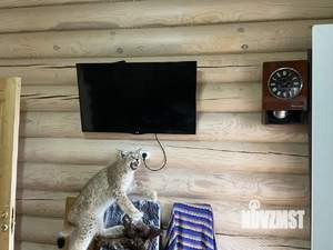 Дом 250м&sup2;, 2-этажный, посуточно, 