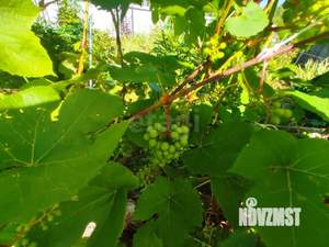 Дом 45м&sup2;, 2-этажный, участок 14 сот.  