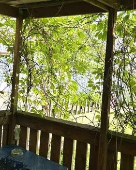 Дом 20м&sup2;, 2-этажный, участок 4 сот.  