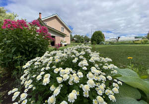 Дом 180м&sup2;, 3-этажный, участок 20 сот.  