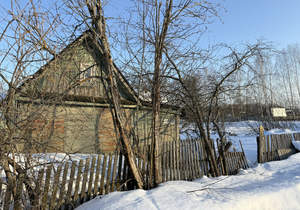 Дом 20м&sup2;, 1-этажный, участок 8 сот.  