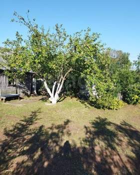 Дом 9м&sup2;, 2-этажный, участок 4 сот.  