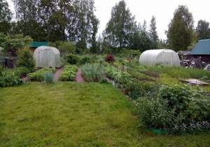 Дом 30м&sup2;, 2-этажный, участок 6 сот.  