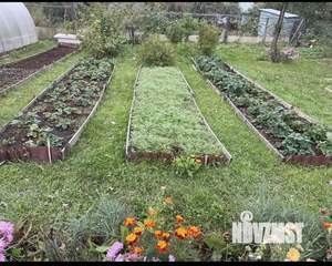 Дом 25м&sup2;, 1-этажный, участок 5 сот.  