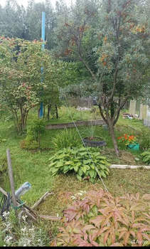 Дом 40м&sup2;, 1-этажный, участок 6 сот.  