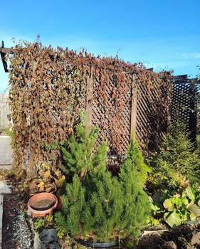 Дом 45м&sup2;, 2-этажный, участок 4 сот.  