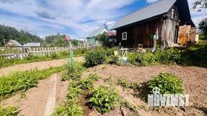 Дом 20м&sup2;, 1-этажный, участок 7 сот.  