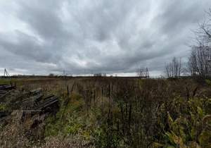 Дом 43м², 1-этажный, участок 35 сот.  