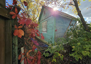 Дом 16м², 1-этажный, участок 5 сот.  