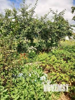 Дом 40м², 2-этажный, участок 4 сот.  