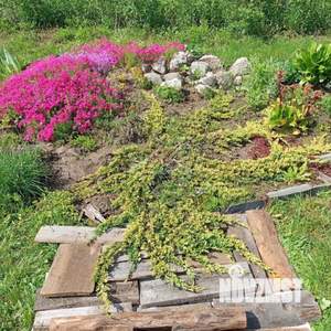 Дом 16м², 1-этажный, участок 8 сот.  