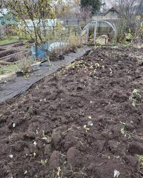 Дом 45м&sup2;, 2-этажный, участок 4 сот.  