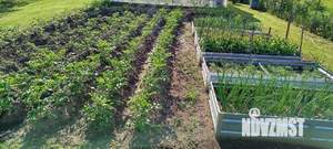 Дом 123м², 3-этажный, участок 11 сот.  