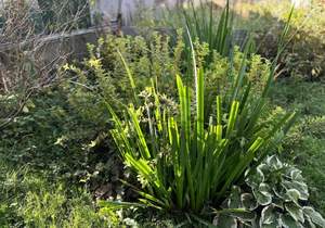 Дом 10м², 2-этажный, участок 4 сот.  