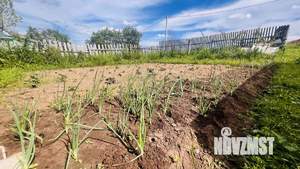 Дом 20м², 1-этажный, участок 7 сот.  