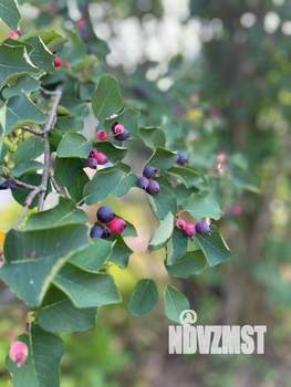 Дом 50м&sup2;, 2-этажный, участок 13 сот.  