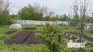 Дом 40м², 2-этажный, участок 6 сот.  