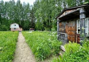 Дом 53м&sup2;, 2-этажный, участок 9 сот.  