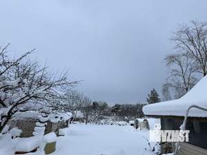 Дом 40м&sup2;, 2-этажный, участок 7 сот.  