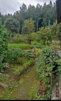 Дом 40м&sup2;, 1-этажный, участок 6 сот.  