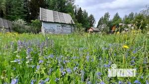 Дом 10м², 1-этажный, участок 7 сот.  