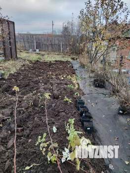 Дом 45м&sup2;, 1-этажный, участок 4 сот.  