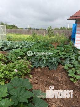 Дом 30м&sup2;, 1-этажный, участок 6 сот.  