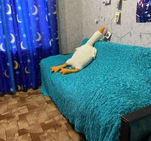 Дом 70м², 1-этажный, участок 6 сот.  