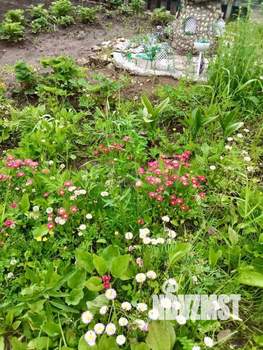 Дом 10м&sup2;, 1-этажный, участок 4 сот.  